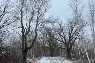 27Xx 320th Ave, Brook Park, MN 55007 - Photo 1