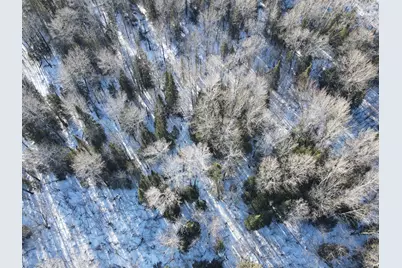 Tbd Butler Road, Mountain Iron, MN 55768 - Photo 14