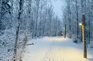 128 Bridge Run Ln, Lutsen Township, MN 55612 - Photo 30
