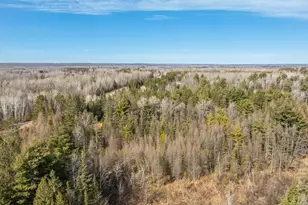 27633 182nd St, Holcombe, WI 54745 - Photo 62