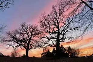 7627 Nicholas Way, Chanhassen, MN 55317 - Photo 18