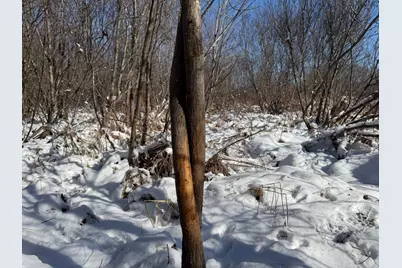 Tbd County Road 14, Sebeka, MN 56477 - Photo 50