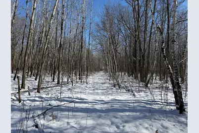 Tbd County Road 14, Sebeka, MN 56477 - Photo 64