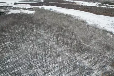 Tbd County Road 14, Sebeka, MN 56477 - Photo 12