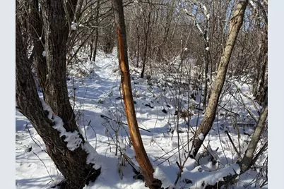 Tbd County Road 14, Sebeka, MN 56477 - Photo 46