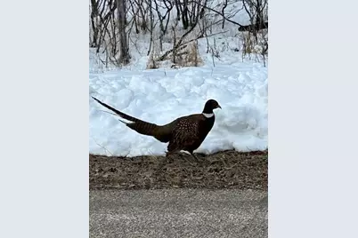 1199 Long Beach Drive, Detroit Lakes, MN 56501 - Photo 48