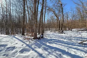 31741 170th St, Detroit Lakes, MN 56501 - Photo 48