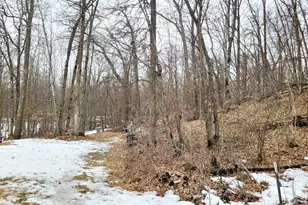 31741 170th St, Detroit Lakes, MN 56501 - Photo 46