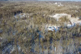 31741 170th St, Detroit Lakes, MN 56501 - Photo 54