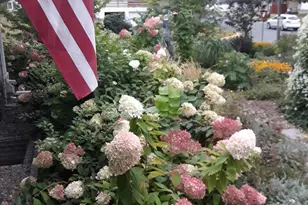 5502 Regis Trail NE, Fridley, MN 55432 - Photo 42