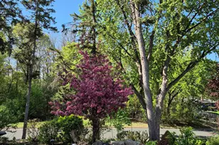 5502 Regis Trail NE, Fridley, MN 55432 - Photo 38