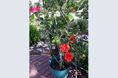 5502 Regis Trail NE, Fridley, MN 55432 - Photo 52