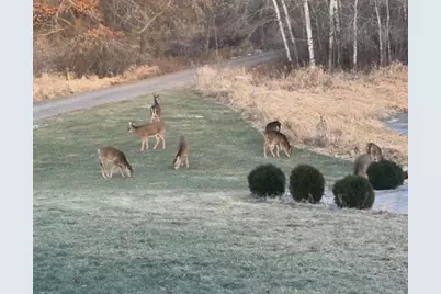 31346 Naples Street NE, Cambridge, MN 55008 - Photo 48