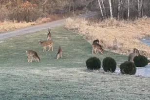 31346 Naples St NE, Cambridge, MN 55008 - Photo 48