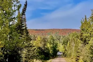 265 Mink Ranch Rd, Tofte Township, MN 55615 - Photo 22