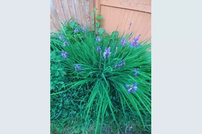 1460 Hoyt Avenue E, Saint Paul, MN 55106 - Photo 30