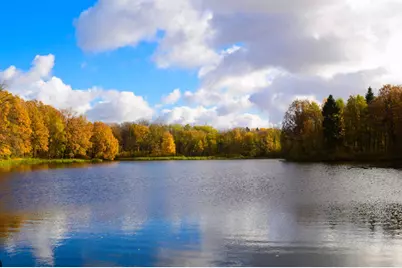 10926 37th Street N, Lake Elmo, MN 55042 - Photo 40