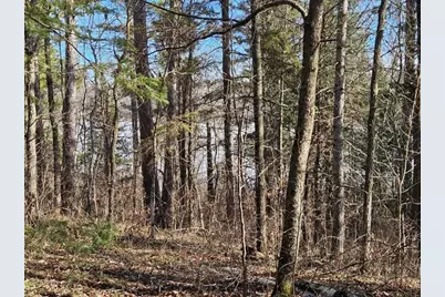 Tbd Seaberg Lane, Bagley, MN 56621 - Photo 16