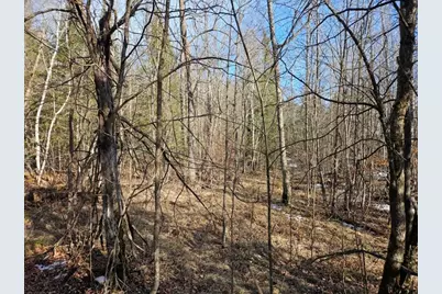 Tbd Seaberg Lane, Bagley, MN 56621 - Photo 14