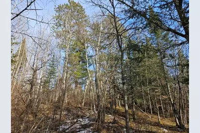 Tbd Seaberg Lane, Bagley, MN 56621 - Photo 12