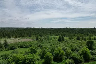 18335 Imperial Ave N, Forest Lake, MN 55025 - Photo 26
