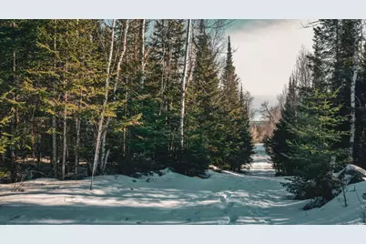 Tbd Parcel 17 Hwy 115, Tower, MN 55790 - Photo 6