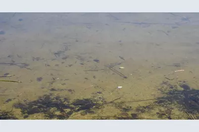 6420 Birchmont Drive NE, Bemidji, MN 56601 - Photo 4