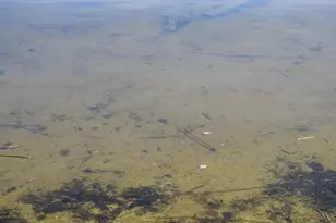 6420 Birchmont Dr NE, Bemidji, MN 56601 - Photo 4