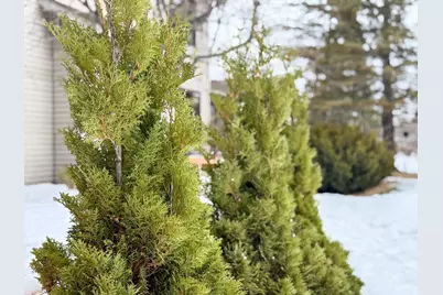 6420 Birchmont Drive NE, Bemidji, MN 56601 - Photo 86