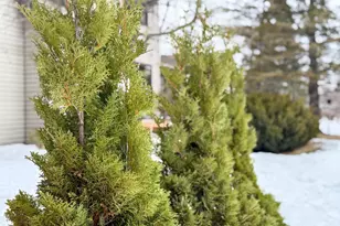 6420 Birchmont Dr NE, Bemidji, MN 56601 - Photo 86