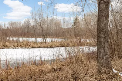 125 Stallion Lane, Circle Pines, MN 55014 - Photo 22