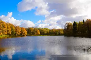 10933 37th St N, Lake Elmo, MN 55042 - Photo 58