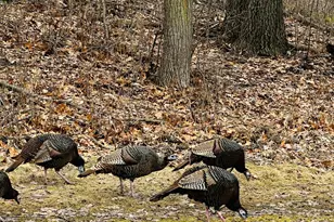 14759 McGinty Rd W, Minnetonka, MN 55391 - Photo 76