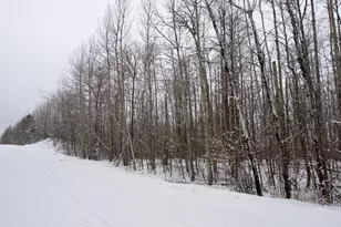 Xxxx Sheridan Woods Ln NE, Outing, MN 56662 - Photo 1