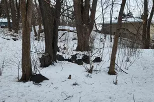 1145 Polk Pl NE, Columbia Heights, MN 55421 - Photo 32