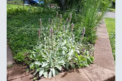 2611 Parkview Boulevard, Robbinsdale, MN 55422 - Photo 34