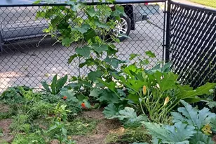 2611 Parkview Blvd, Robbinsdale, MN 55422 - Photo 30