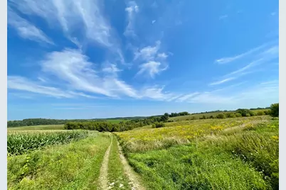 Tbd County 8, Spring Grove, MN 55954 - Photo 2