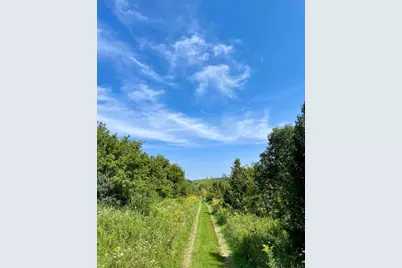 Tbd County 8, Spring Grove, MN 55954 - Photo 42
