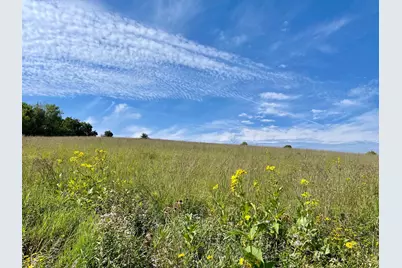 Tbd County 8, Spring Grove, MN 55954 - Photo 38