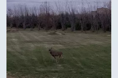 18779 35th Avenue N, Hawley, MN 56549 - Photo 64