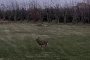 18779 35 Ave N, Hawley, MN 56549 - Photo 64