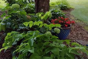 3680 Arlington Ln SE, Rochester, MN 55904 - Photo 64