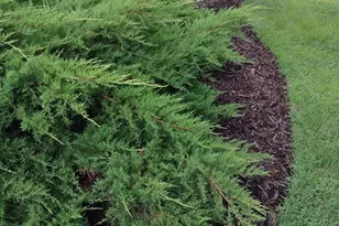 3680 Arlington Ln SE, Rochester, MN 55904 - Photo 74