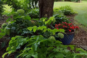 3680 Arlington Ln SE, Rochester, MN 55904 - Photo 58