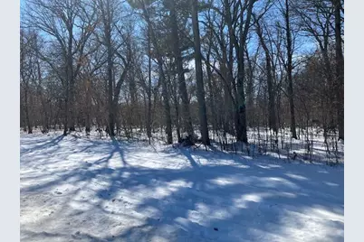 Lot 2 Sunrise Road, Sunrise Township, MN 55032 - Photo 4