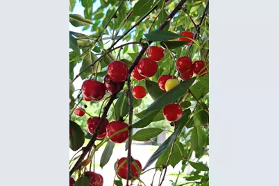 613 11th Street SE, Rochester, MN 55904 - Photo 34