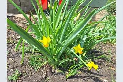 613 11th Street SE, Rochester, MN 55904 - Photo 42