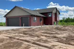 Lot 3 Olson Rd, Sunrise Township, MN 55056 - Photo 4