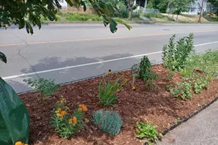 1136 Maryland Ave E, Saint Paul, MN 55106 - Photo 6